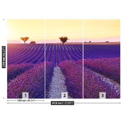 Mural de parede Campos de lavanda