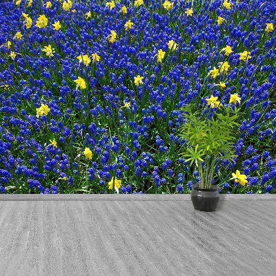 Mural de parede Flores de tremoço