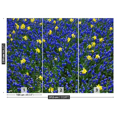 Mural de parede Flores de tremoço