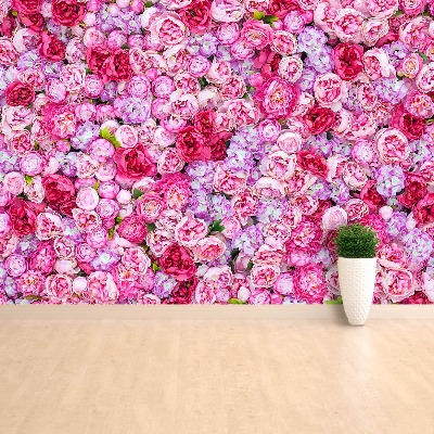 Papel de parede Peônias