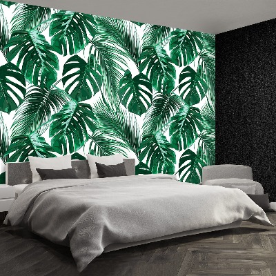 Mural de parede Monstera perforatum