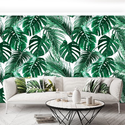Mural de parede Monstera perforatum