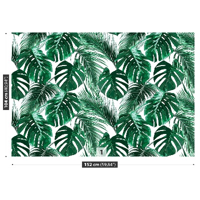 Mural de parede Monstera perforatum