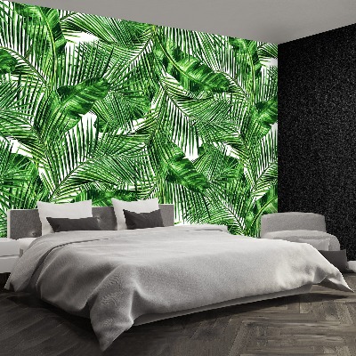 Papel de parede Folhas tropicais