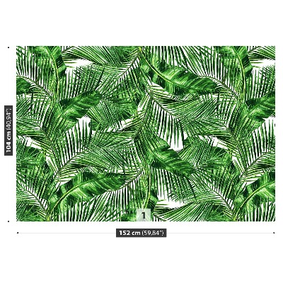 Papel de parede Folhas tropicais
