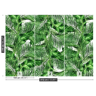 Papel de parede Folhas tropicais