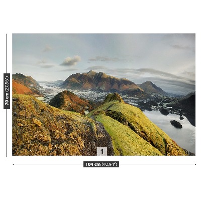 Mural de parede Sinos de gato