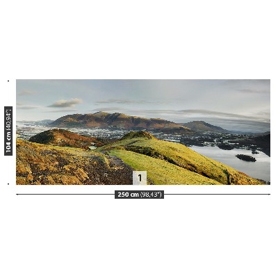 Mural de parede Sinos de gato