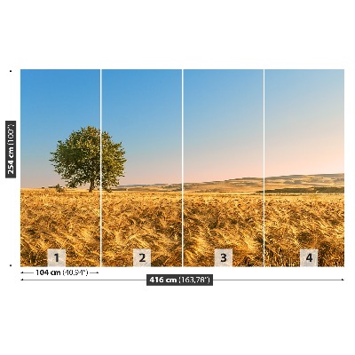 Mural de parede Um campo de grãos