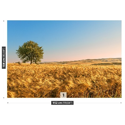 Mural de parede Um campo de grãos