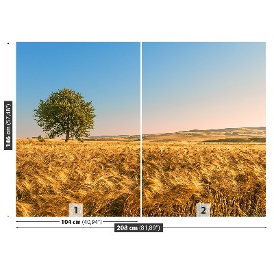 Mural de parede Um campo de grãos