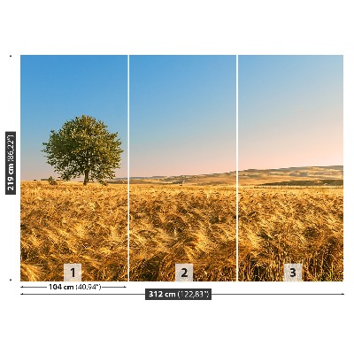 Mural de parede Um campo de grãos