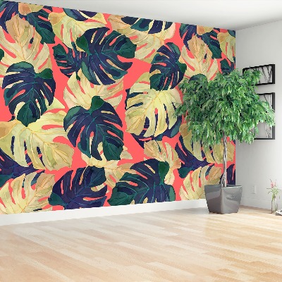 Papel de parede Folhas de Monstera