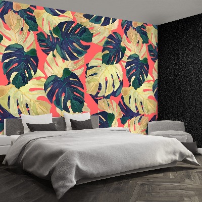 Papel de parede Folhas de Monstera