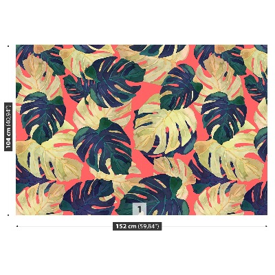 Papel de parede Folhas de Monstera