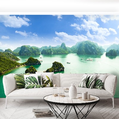 Papel de parede Baía no Vietnã