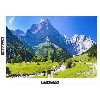 Mural de parede Panorama dos Alpes