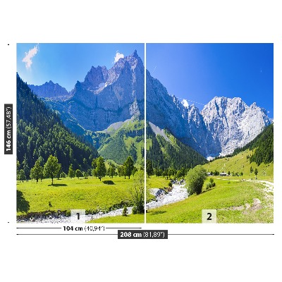 Mural de parede Panorama dos Alpes