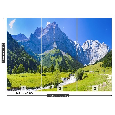 Mural de parede Panorama dos Alpes