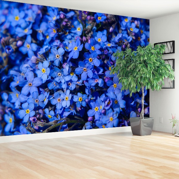 Papel de parede Não-me-esqueças