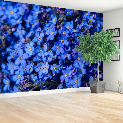 Papel de parede Não-me-esqueças