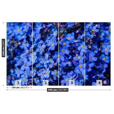 Papel de parede Não-me-esqueças