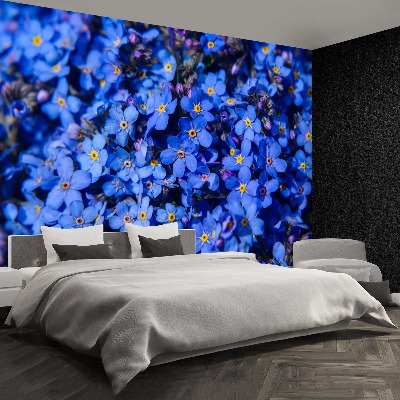 Papel de parede Não-me-esqueças