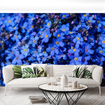 Papel de parede Não-me-esqueças