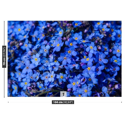 Papel de parede Não-me-esqueças