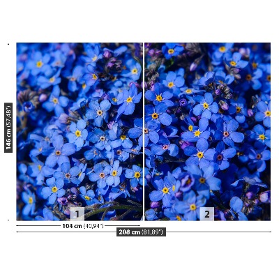 Papel de parede Não-me-esqueças