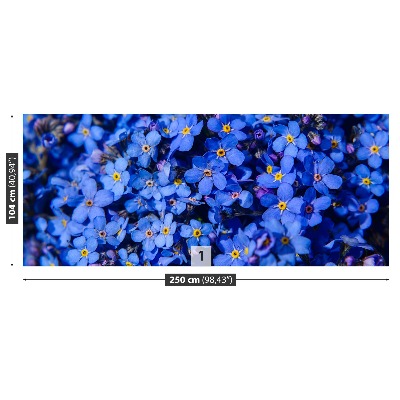 Papel de parede Não-me-esqueças