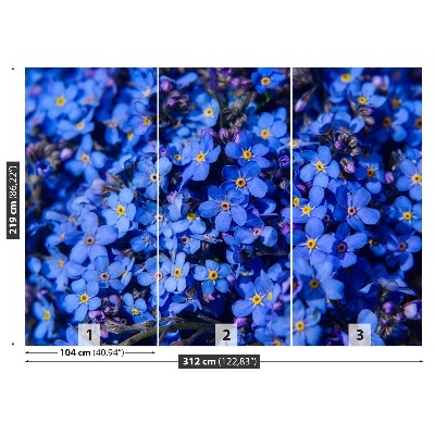 Papel de parede Não-me-esqueças