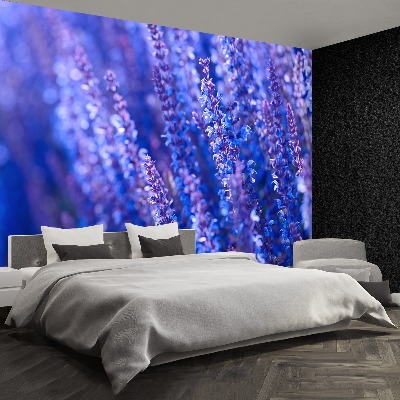 Mural de parede Flores de lavanda