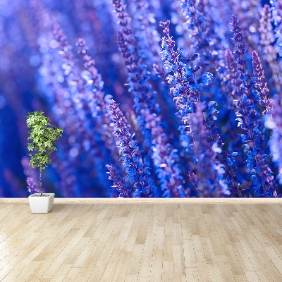 Mural de parede Flores de lavanda