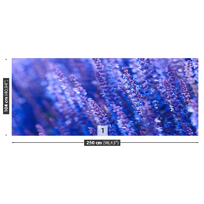 Mural de parede Flores de lavanda