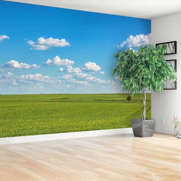 Papel de parede Céu do Prado