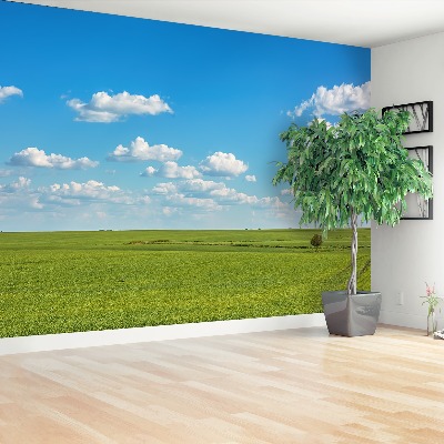 Papel de parede Céu do Prado