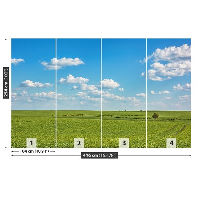 Papel de parede Céu do Prado