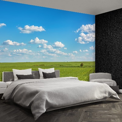 Papel de parede Céu do Prado