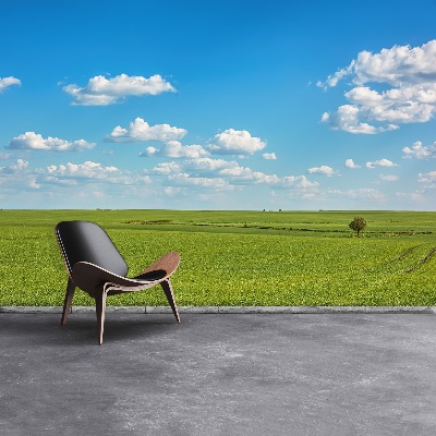 Papel de parede Céu do Prado