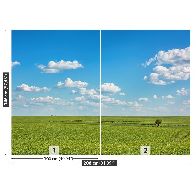 Papel de parede Céu do Prado