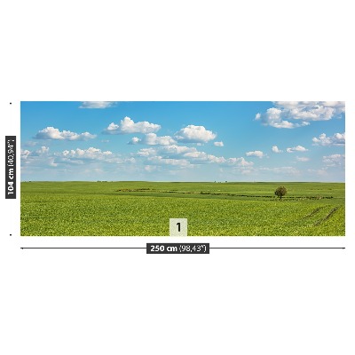 Papel de parede Céu do Prado