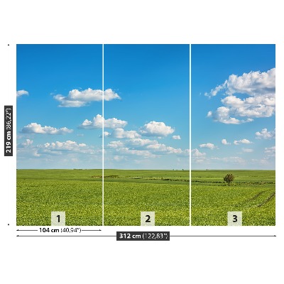 Papel de parede Céu do Prado