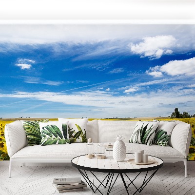 Papel de parede Um campo de girassóis