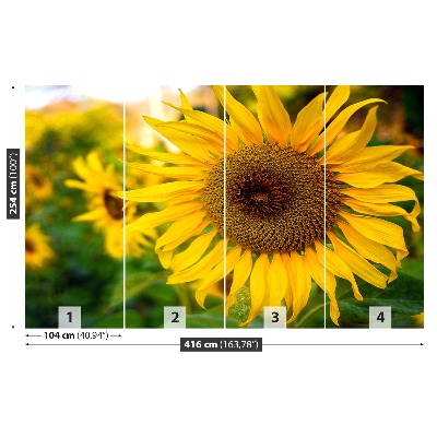 Papel de parede Girassóis amarelos