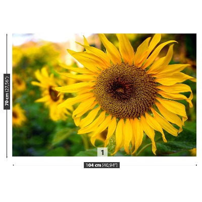 Papel de parede Girassóis amarelos