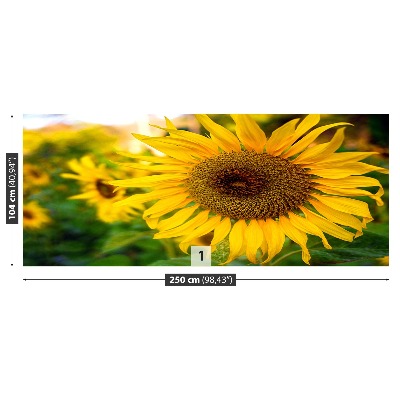 Papel de parede Girassóis amarelos