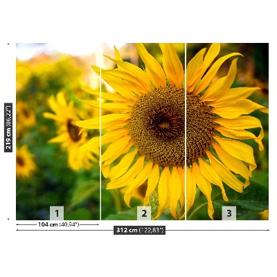 Papel de parede Girassóis amarelos