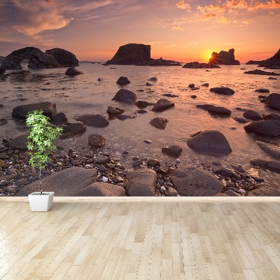 Papel de parede Costa do mar