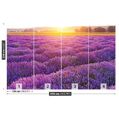 Mural de parede Campo de lavanda